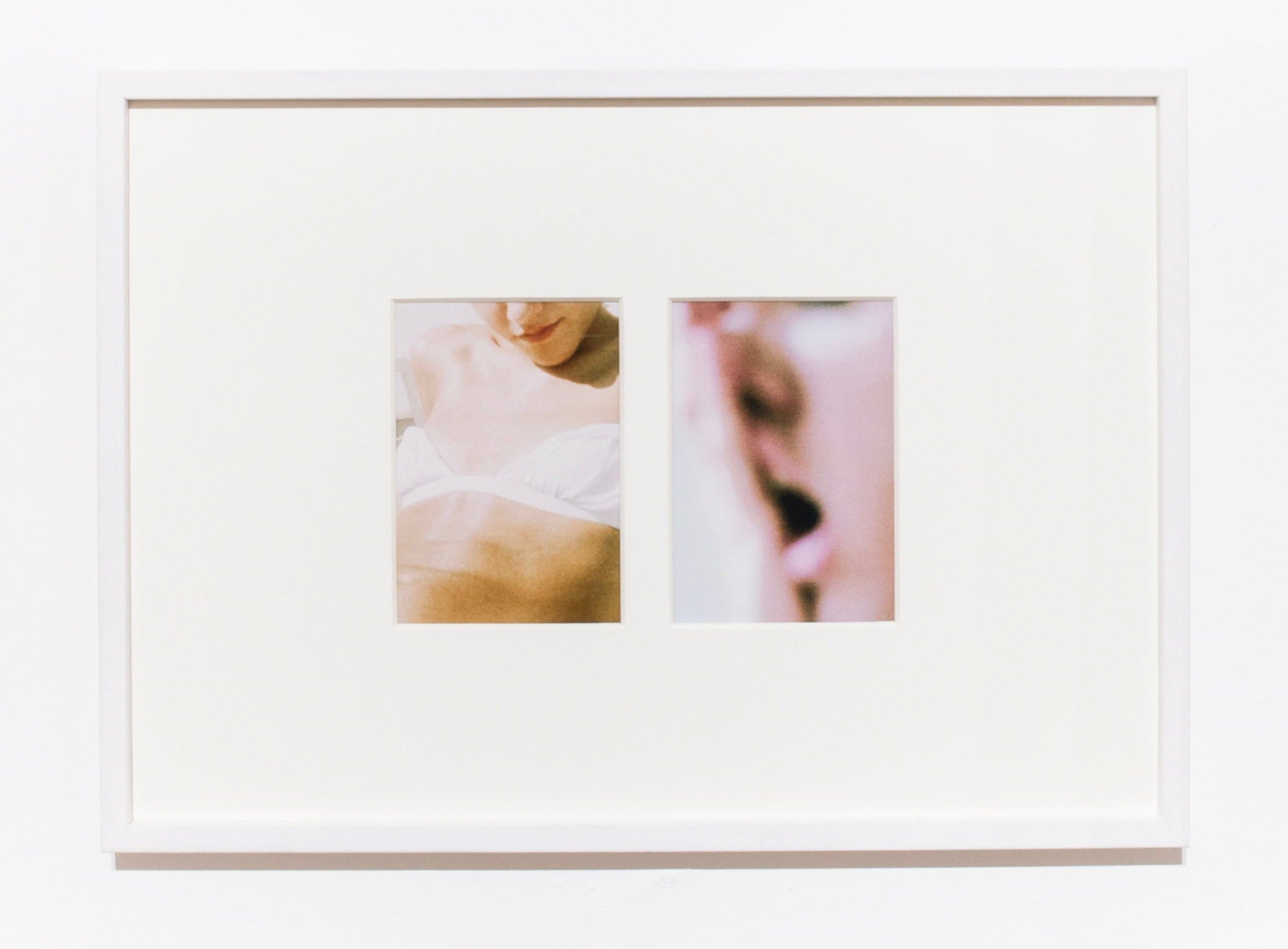 Mara Palena, ‘Oikeiôsis, a study of introspection’, 2020