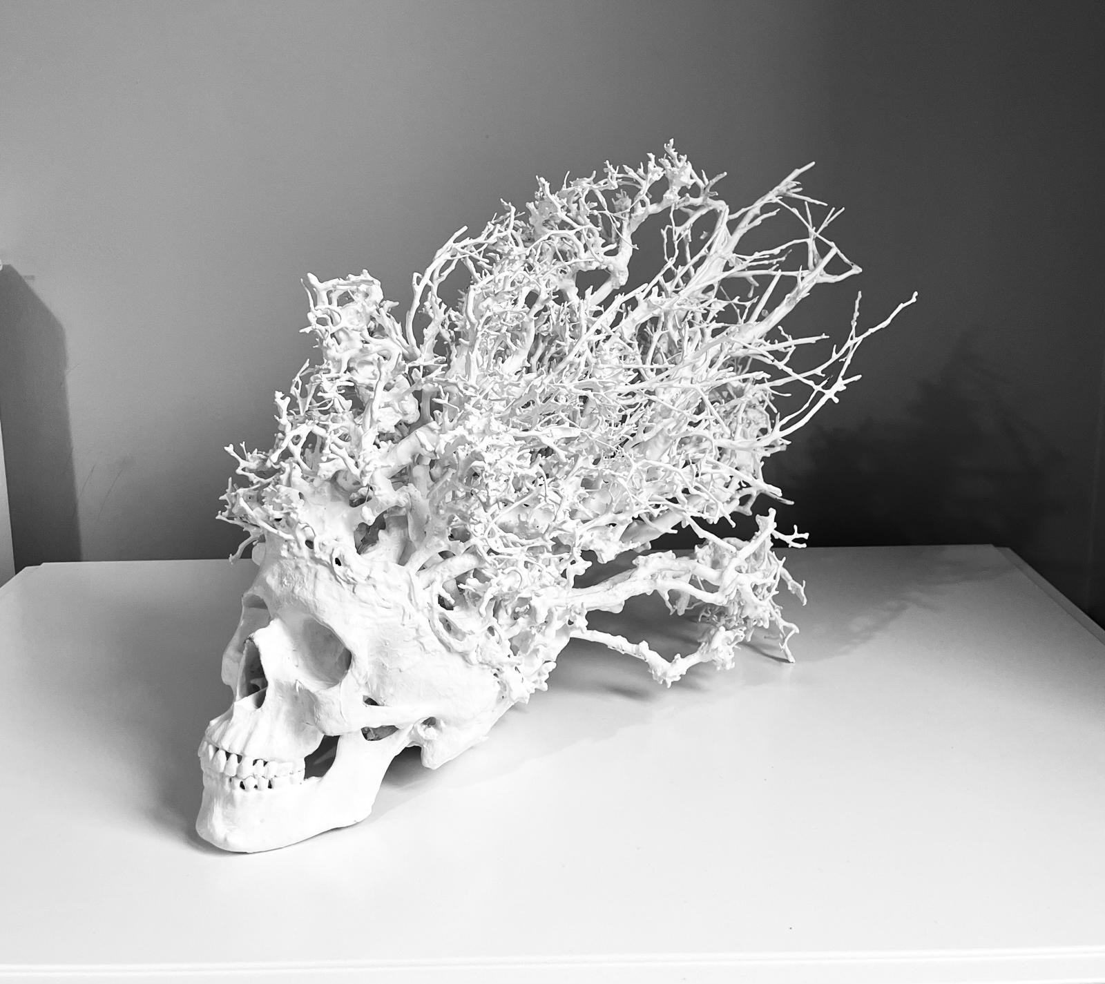 Maddalena Ambrosio, ‘Untitled’, 2025