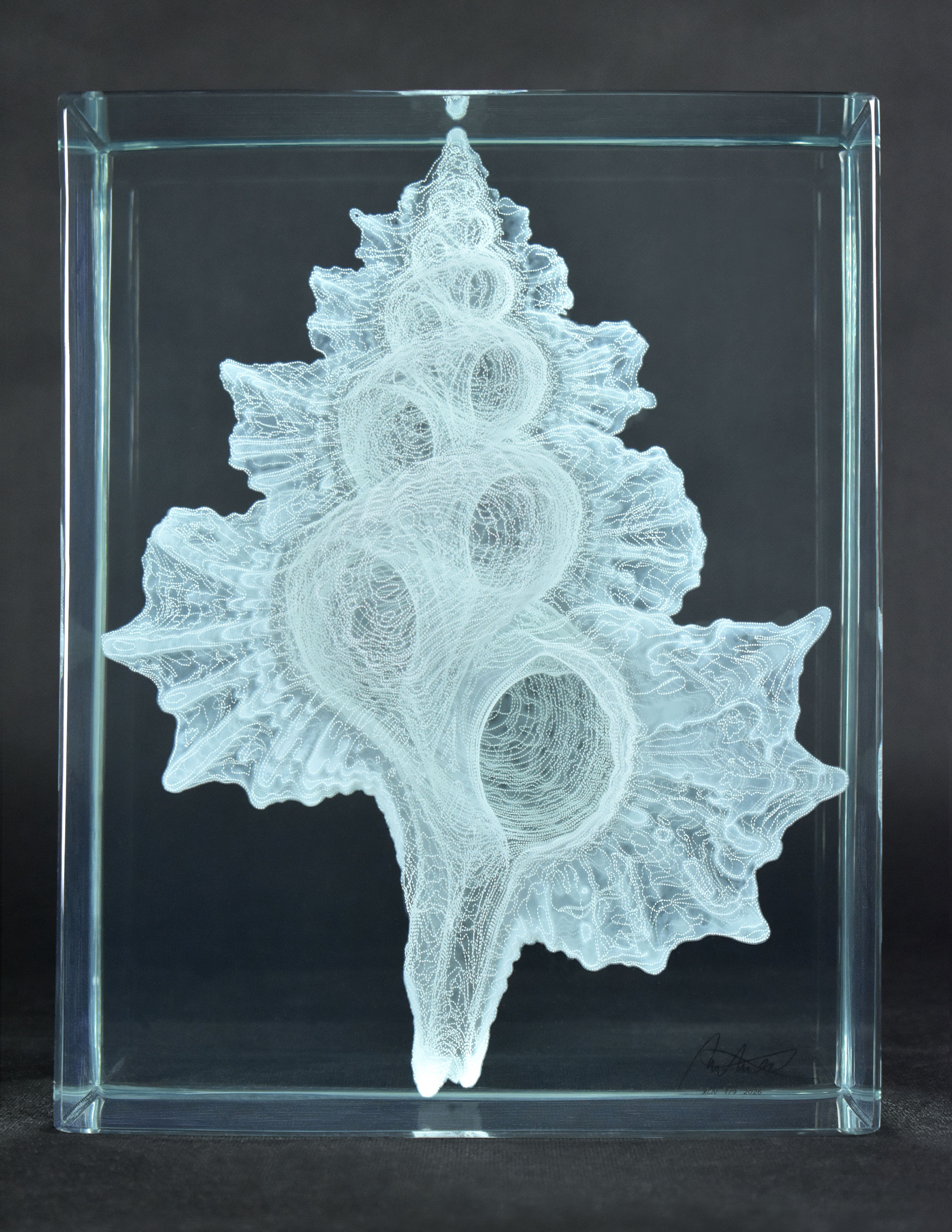 Michal Macku, ‘Glass Gellage XCIV’, 2026