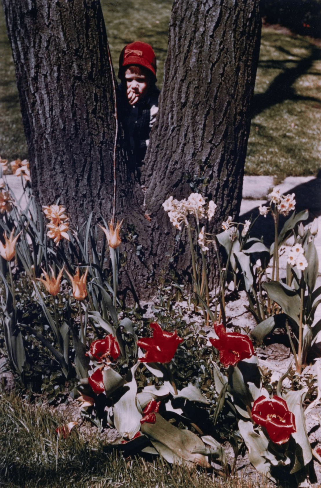 Vivian Maier, ‘Untitled (Child and flowers)’, 1957