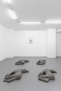 Chiara Brambilla - Roberto Picchi, Alzarsi presto, 2025, installation view @RIBOT