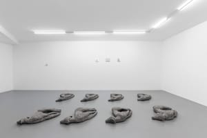 Chiara Brambilla - Roberto Picchi, Alzarsi presto, 2025, installation view @RIBOT