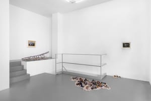Chiara Brambilla - Roberto Picchi, Alzarsi presto, 2025, installation view @RIBOT