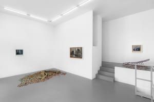 Chiara Brambilla - Roberto Picchi, Alzarsi presto, 2025, installation view @RIBOT