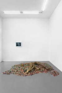 Chiara Brambilla - Roberto Picchi, Alzarsi presto, 2025, installation view @RIBOT 
