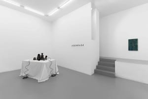 Tomás Díaz Cedeño, Breath below, 2025, installation view@RIBOT 