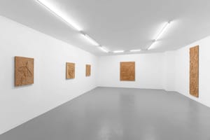 Tomás Díaz Cedeño, Breath below, 2025, installation view@RIBOT 