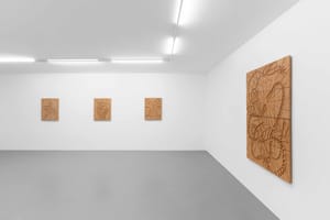 Tomás Díaz Cedeño, Breath below, 2025, installation view@RIBOT 