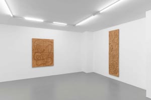 Tomás Díaz Cedeño, Breath below, 2025, installation view@RIBOT 