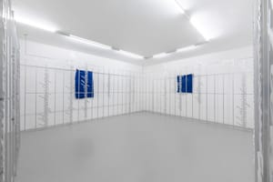 Simona Andrioletti, If you feel me, I am you, 2026, installation view @RIBOT