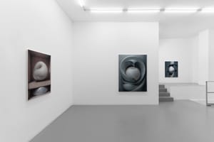 Harrison Pearce, In Abeyance, 2026, installation view @RIBOT