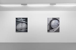 Harrison Pearce, In Abeyance, 2026, installation view @RIBOT