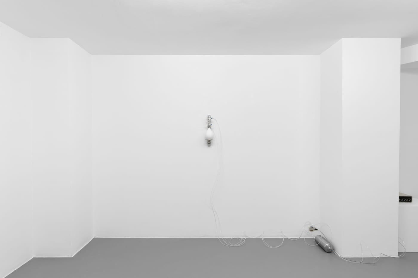 Harrison Pearce, In Abeyance, 2026, installation view @RIBOT