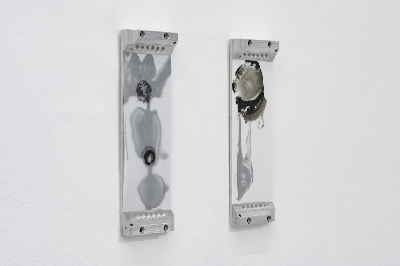 Harrison Pearce – In Abeyance I-V – alluminio, acciaio, caseina, pigmento, PET