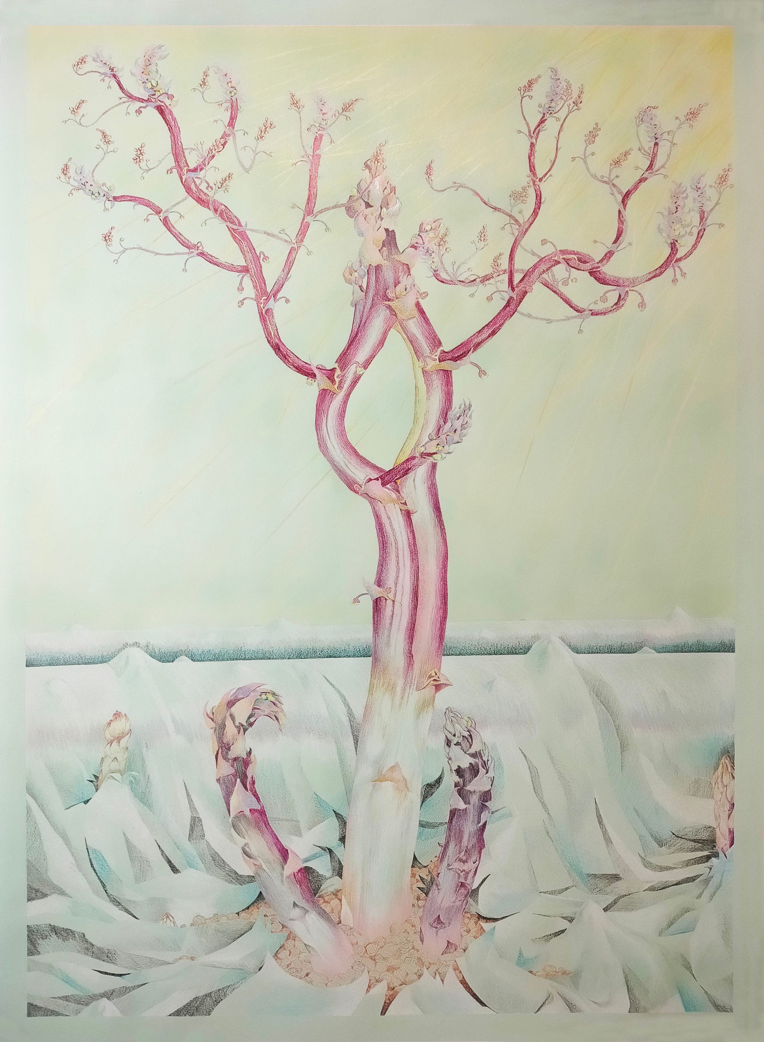 Juri Bizzotto, ‘A Ray of Light’, 2024
