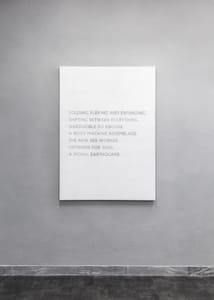 Apparatus 22 (București, 2011), V2 (Arrangements and Haze series), 2017, Incisione laser su cuoio tinto a mano in bianco, 100 x 140 cm, Courtesy gli Artisti