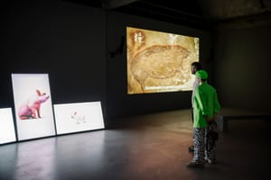 Heather Dewey-Hagborg, Hybrid: an Interspecies Opera, 2022 e Future pigs, plural, 2022. Installation view, MU Art house, Netherlands Ph. Max Kneefel Courtesy l’Artista