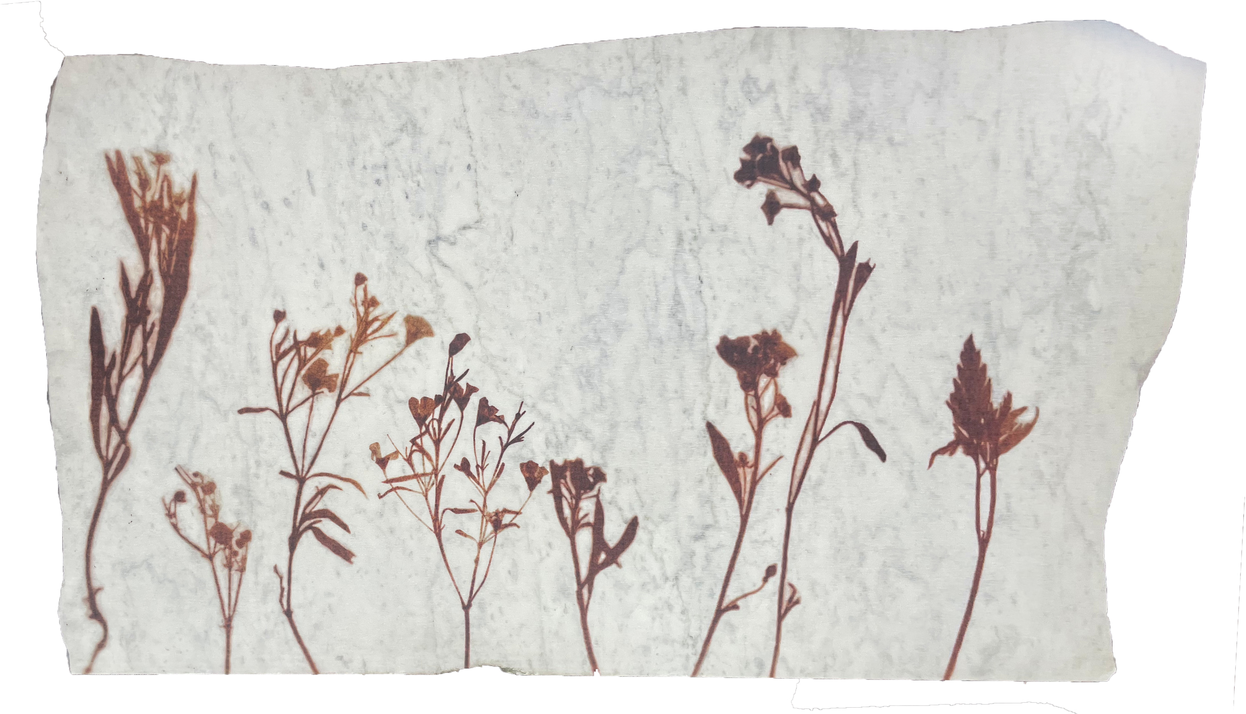 Almudena  Romero, ‘Fossils of our time IV’, 2026