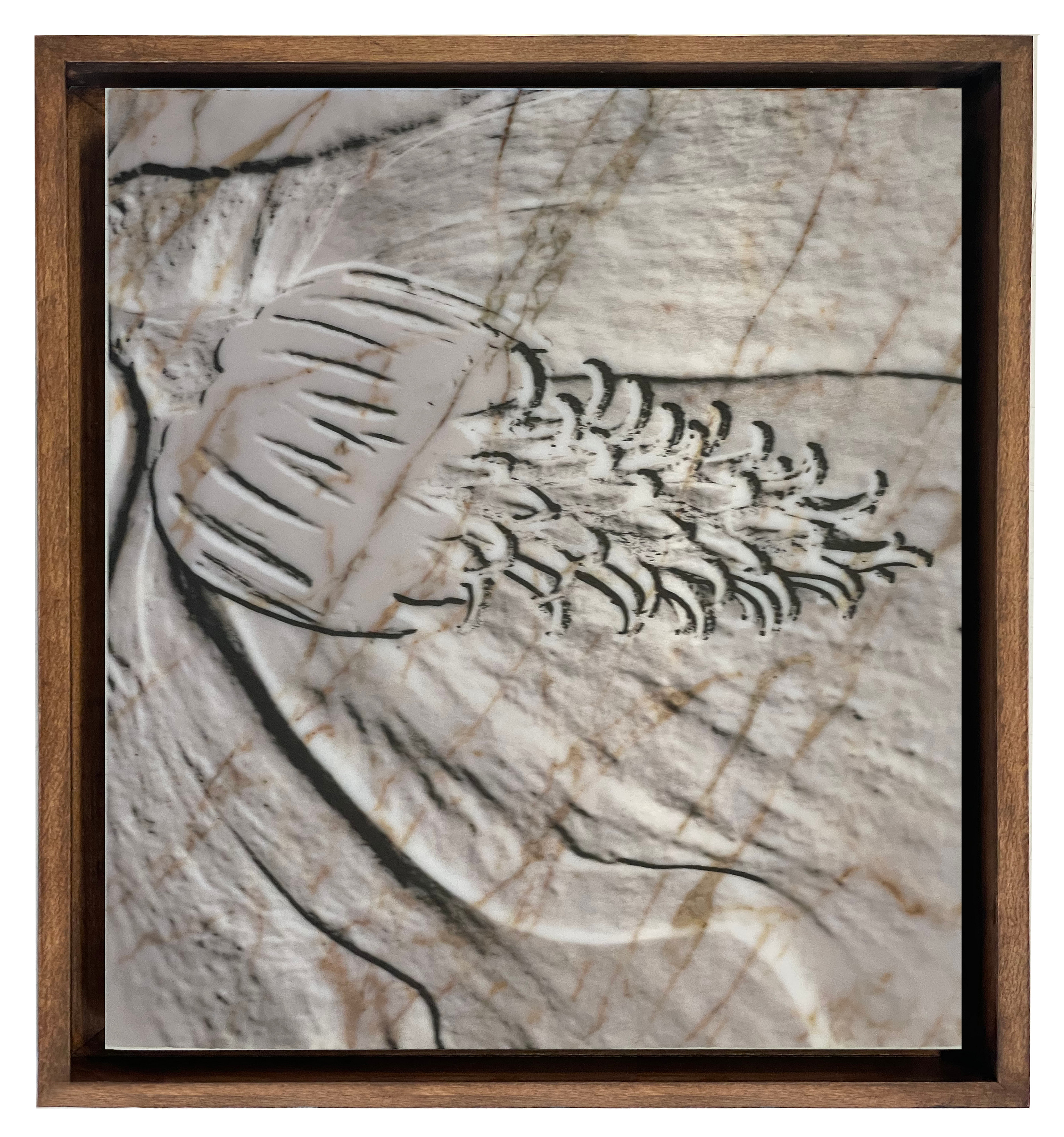 Almudena  Romero, ‘Fossils of our time XI’, 2026