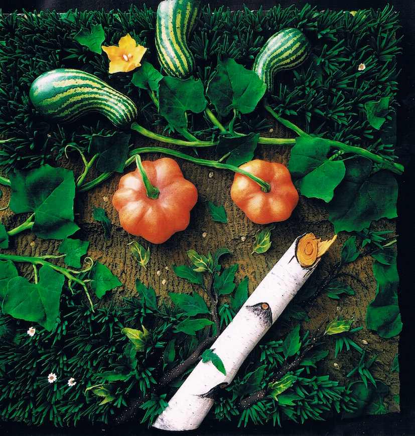 Piero  Gilardi, ‘Zucche ai margini del bosco’, 2015