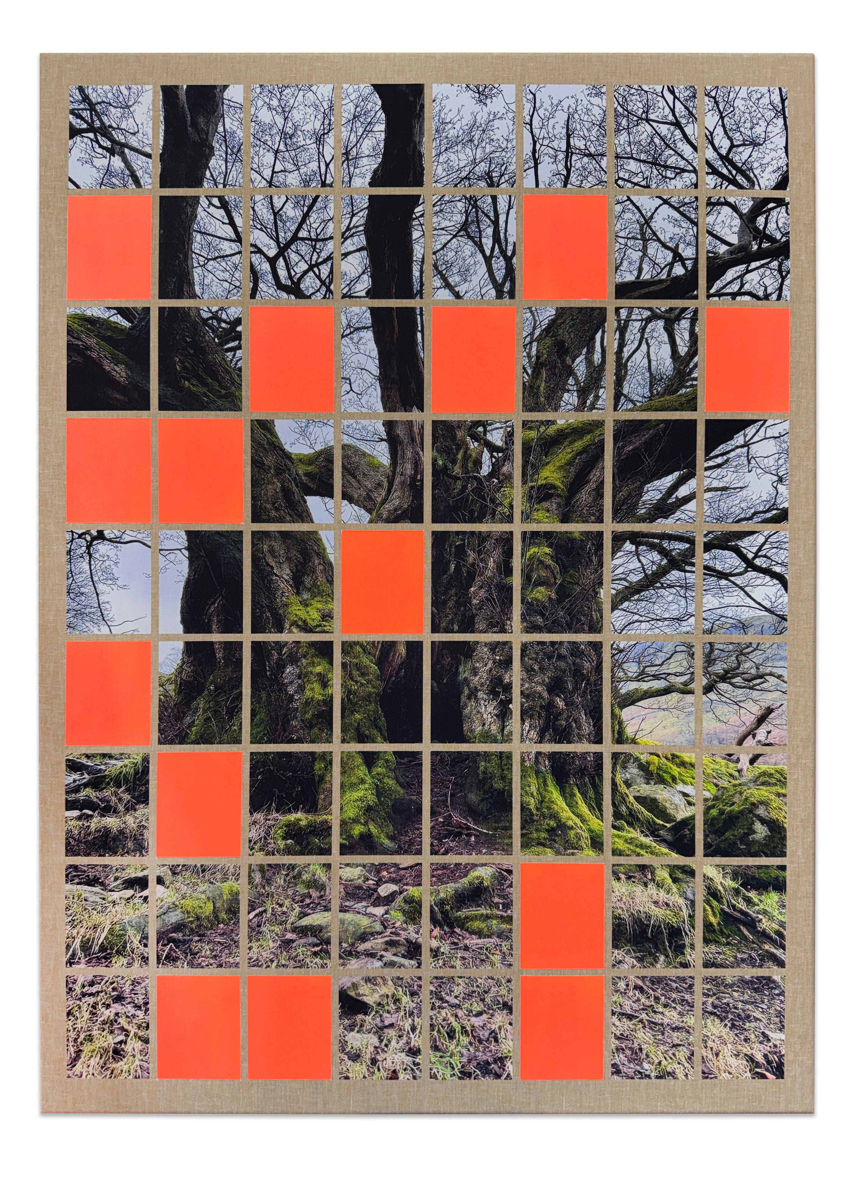 Josh Rowell, ‘Patterdale, 02.01.25, 72 Minutes’, 2026