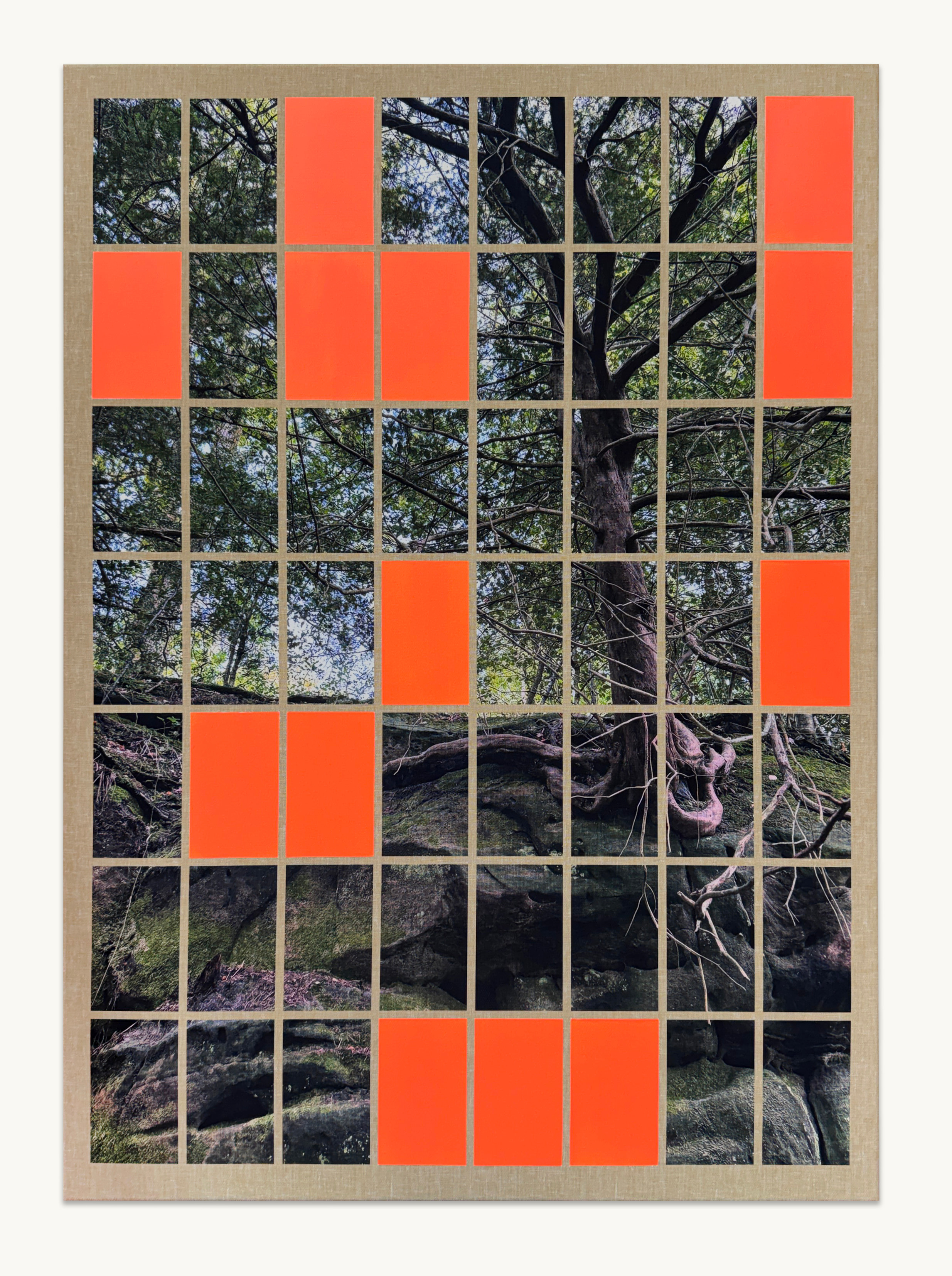 Josh Rowell, ‘Eridge Rocks (1) 30.08.26, 56
Minutes’, 2026