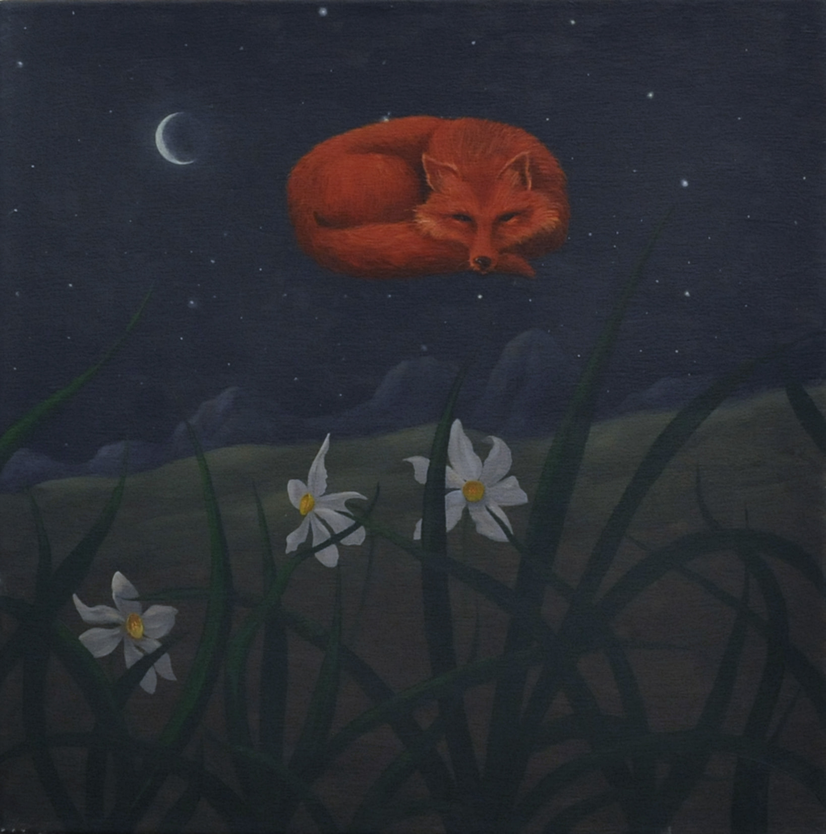 Antonio Sofianopulo, ‘All'incirca tra Zenit e Nadir’, 2012