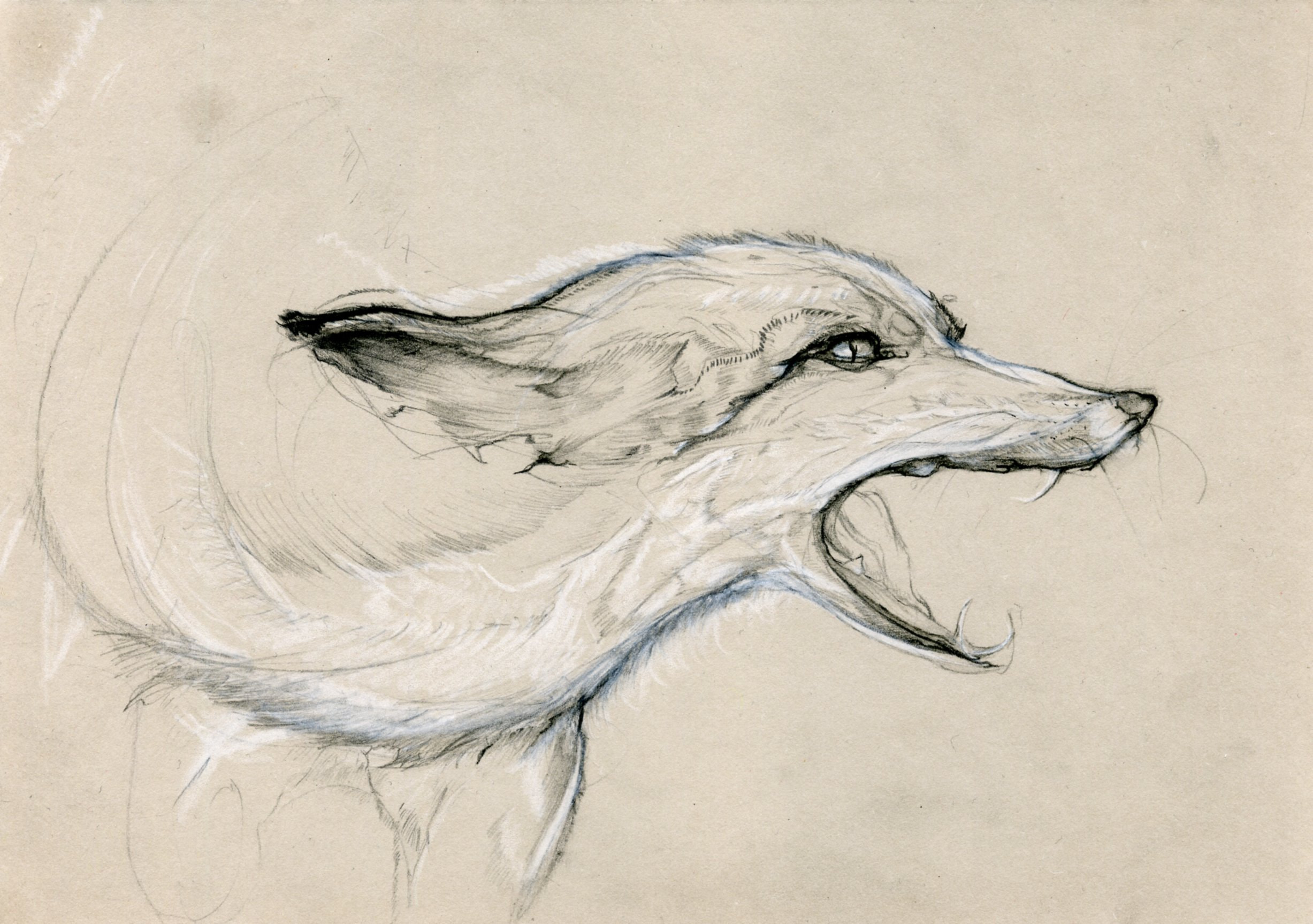Giulia Di Clemente, ‘The anger of the silver fox’, 2026