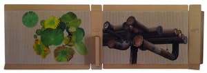 Gianfranco Gentile – Nature and Technology – pastels on corrugated cardboard