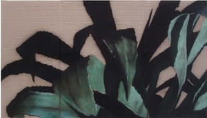 Gianfranco Gentile – Agave  – pastels on corrugated cardboard