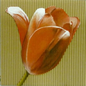 Gianfranco Gentile – White tops – pastels on corrugated cardboard