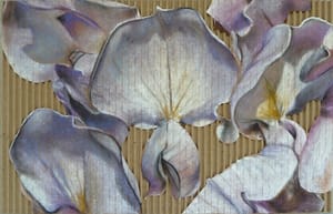 Gianfranco Gentile – Glicine – pastels on corrugated cardboard