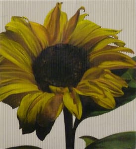 Gianfranco Gentile – Girasole – pastels on corrugated cardboard