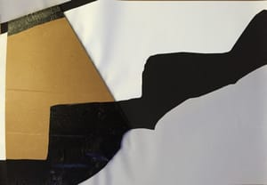 Gianfranco Gentile – Reperto da Octopus Domesticus – Mixed media and corrugated cardboard