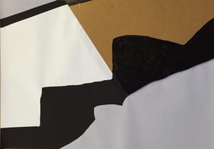 Gianfranco Gentile – Reperto da Octopus Domesticus – Mixed media and corrugated cardboard