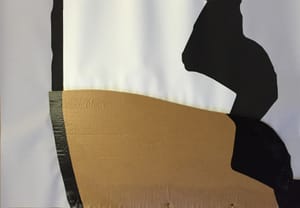 Gianfranco Gentile – Reperto da Octopus Domesticus – Mixed media and corrugated cardboard