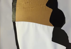 Gianfranco Gentile – Reperto da Octopus Domesticus – Mixed media and corrugated cardboard
