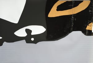 Gianfranco Gentile – Reperto da Octopus Domesticus – Mixed media and corrugated cardboard