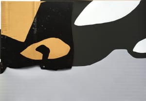 Gianfranco Gentile – Reperto da Octopus Domesticus – Mixed media and corrugated cardboard