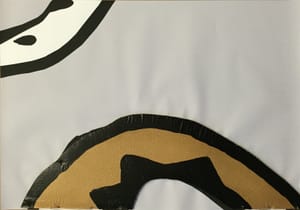 Gianfranco Gentile – Reperto da Octopus Domesticus – Mixed media and corrugated cardboard