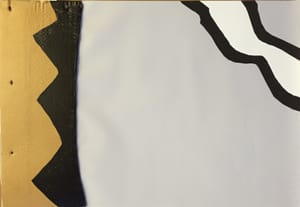 Gianfranco Gentile – Reperto da Octopus Domesticus – Mixed media and corrugated cardboard