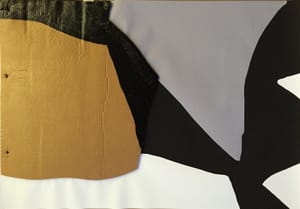 Gianfranco Gentile – Reperto da Octopus Domesticus – Mixed media and corrugated cardboard
