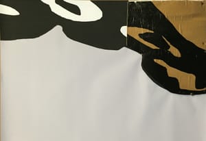 Gianfranco Gentile – Reperto da Octopus Domesticus – Mixed media and corrugated cardboard
