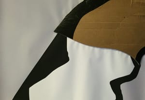 Gianfranco Gentile – Reperto da Octopus Domesticus – Mixed media and corrugated cardboard