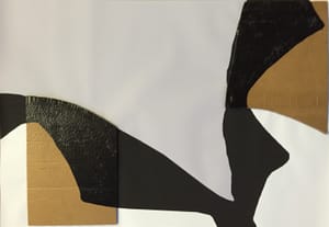 Gianfranco Gentile – Reperto da Octopus Domesticus – Mixed media and corrugated cardboard
