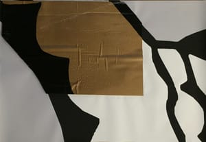 Gianfranco Gentile – Reperto da Octopus Domesticus – Mixed media and corrugated cardboard