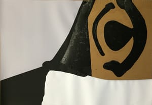Gianfranco Gentile – Reperto da Octopus Domesticus – Mixed media and corrugated cardboard