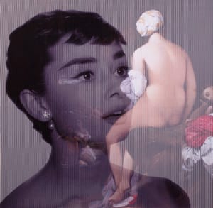 Piero Mafessoli, Malipiero – Osmosi - A. Hepburn - Ingres – Collage on board