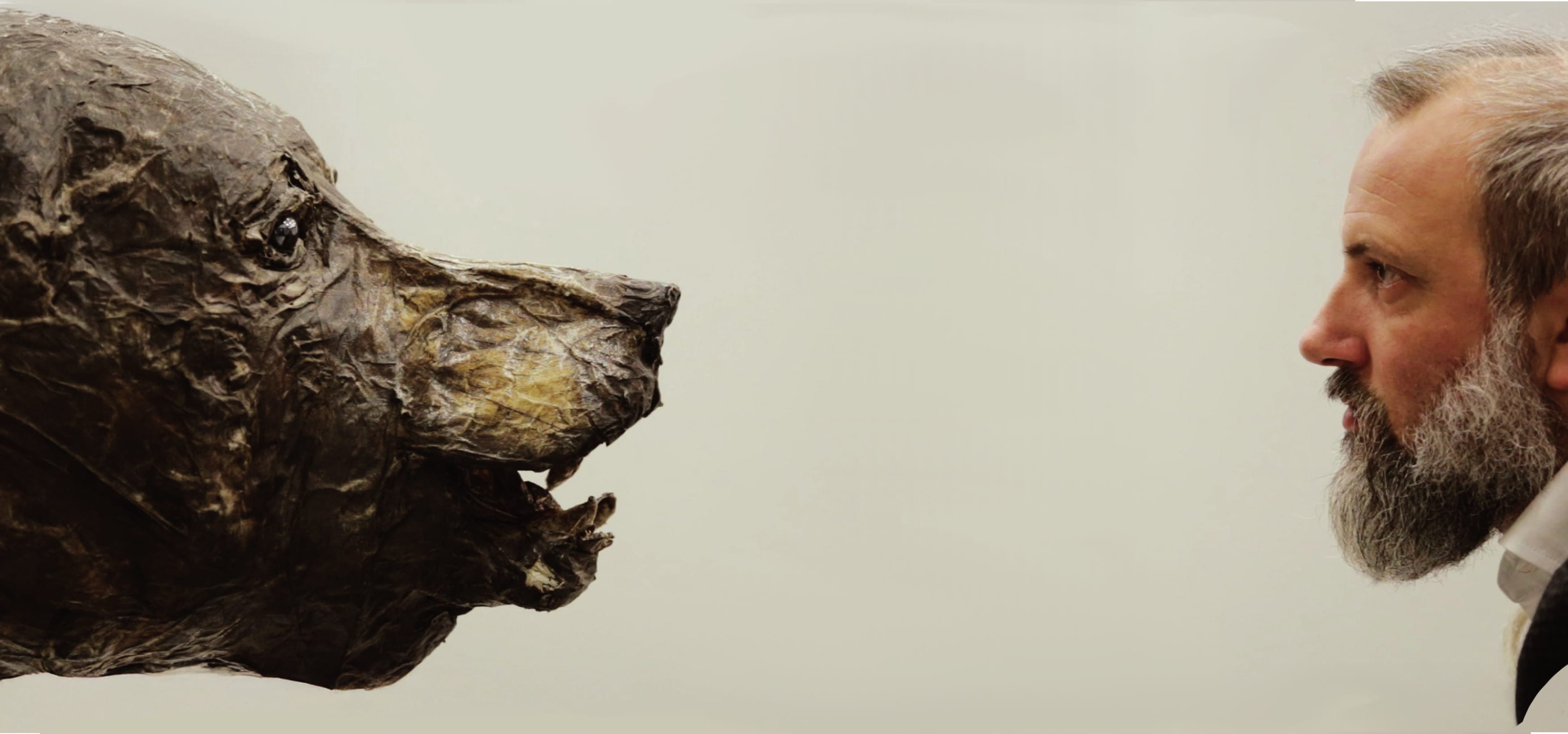 SELVATICI – Un progetto dell'artista ALBERTO SALVETTI