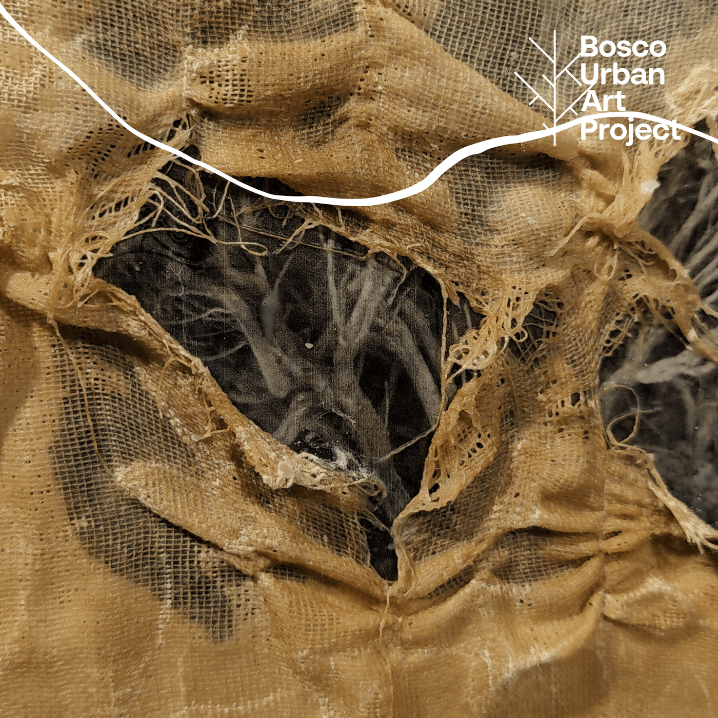 Bosco Urban Art Project